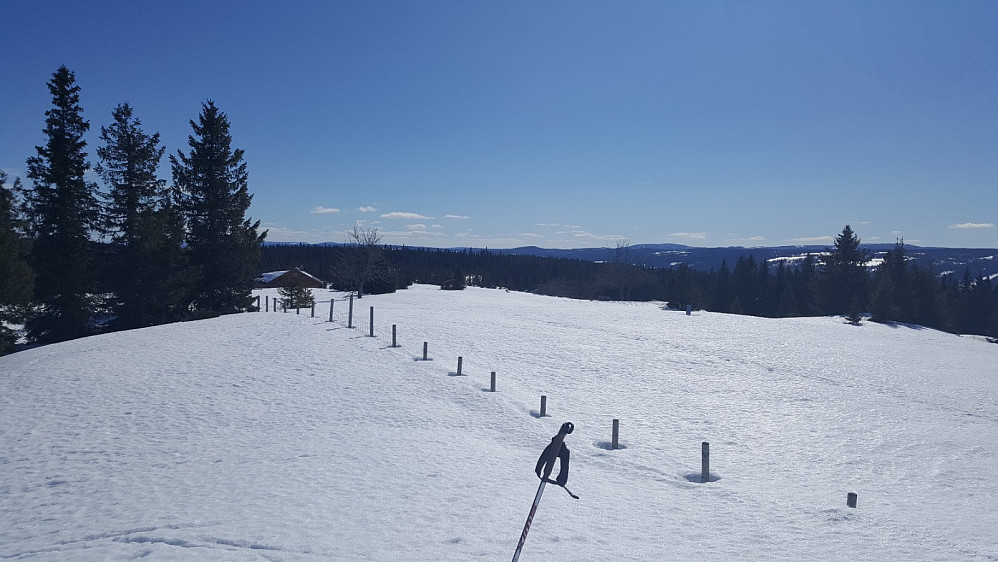 Rindåsen