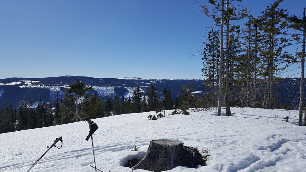 Finsrudbekkhøgda