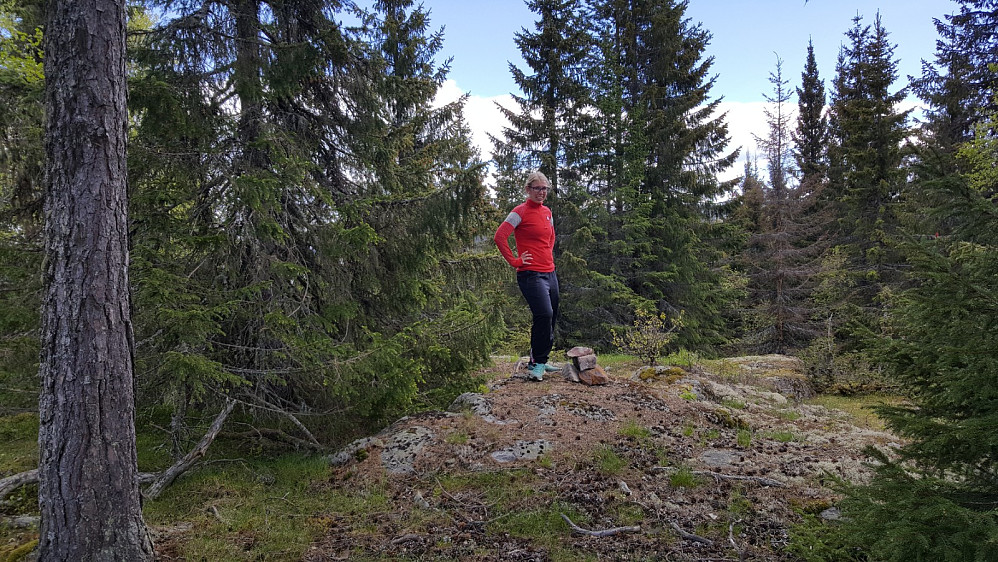 Mari på Evenvoldkollanes toppunkt