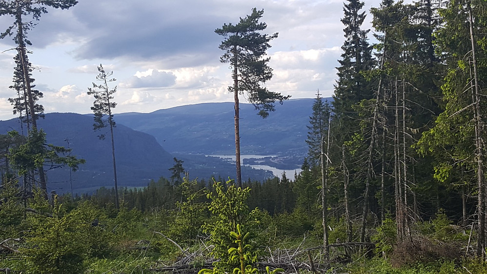 Utsikt mot Øyer fra litt innenfor Kvesåsens toppunkt. Det virket som råket stoppet her.