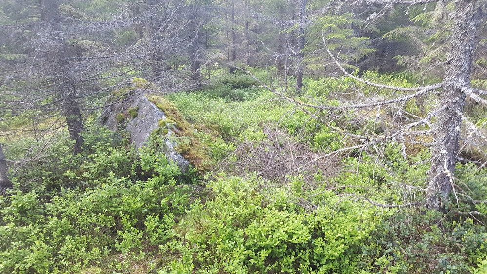Kvesåsens toppunkt