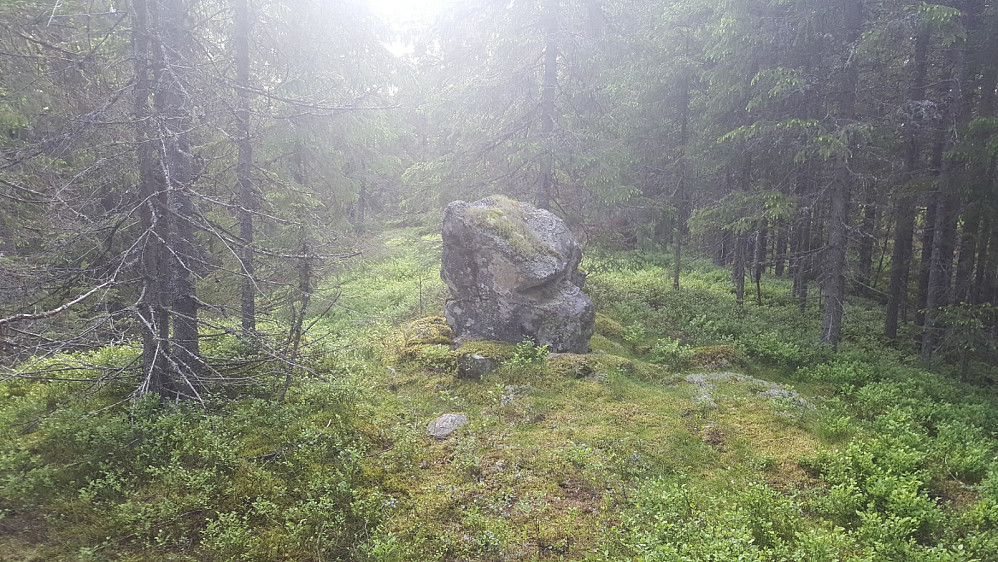 Torvmyra punkt 543