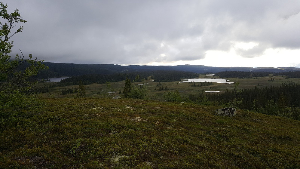 Utsikt fra Storhaugen, mot Erstjønnet, Hindalssjøen helt til venstre