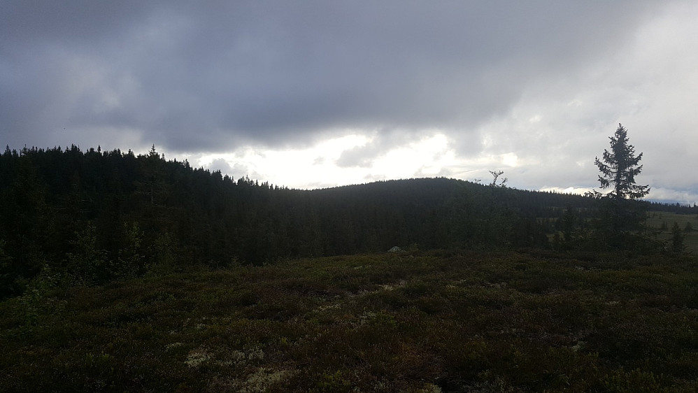 På Østre Veslehaugen
