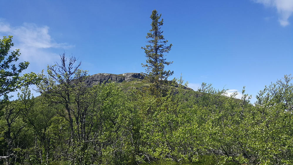 Storskardhaugen, mot Dokkampen