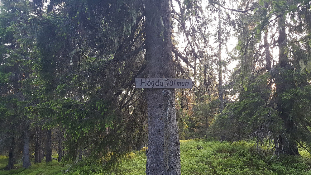 Storseterhøgda