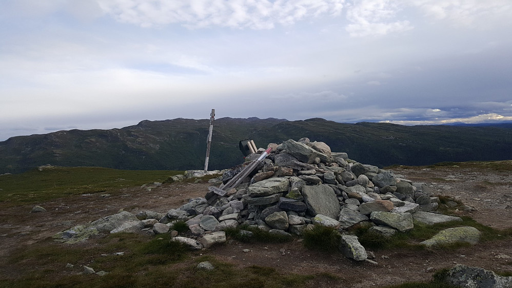 På Skjervungfjellet