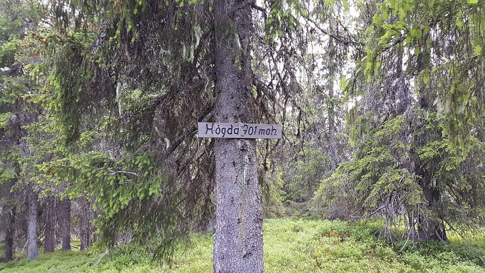 Storseterhøgda
