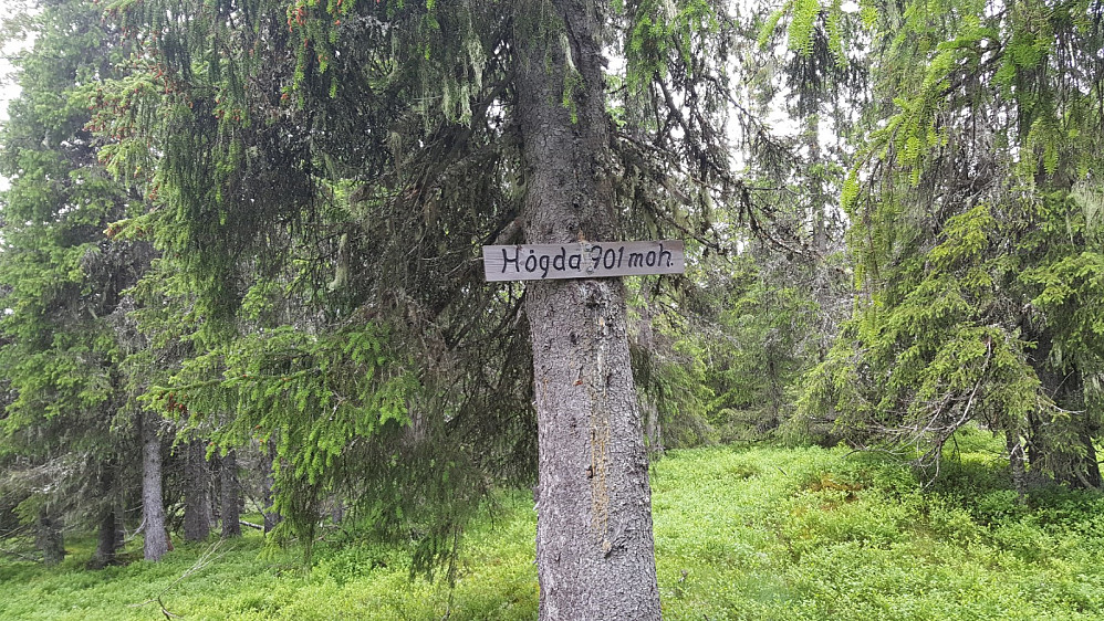 Storseterhøgda