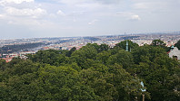 repelo_20190729_5d3f10f70a74d.jpg