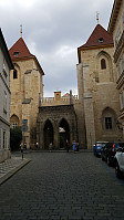 repelo_20190729_5d3f10f7a62c2.jpg