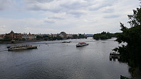 repelo_20190729_5d3f10f8501d9.jpg