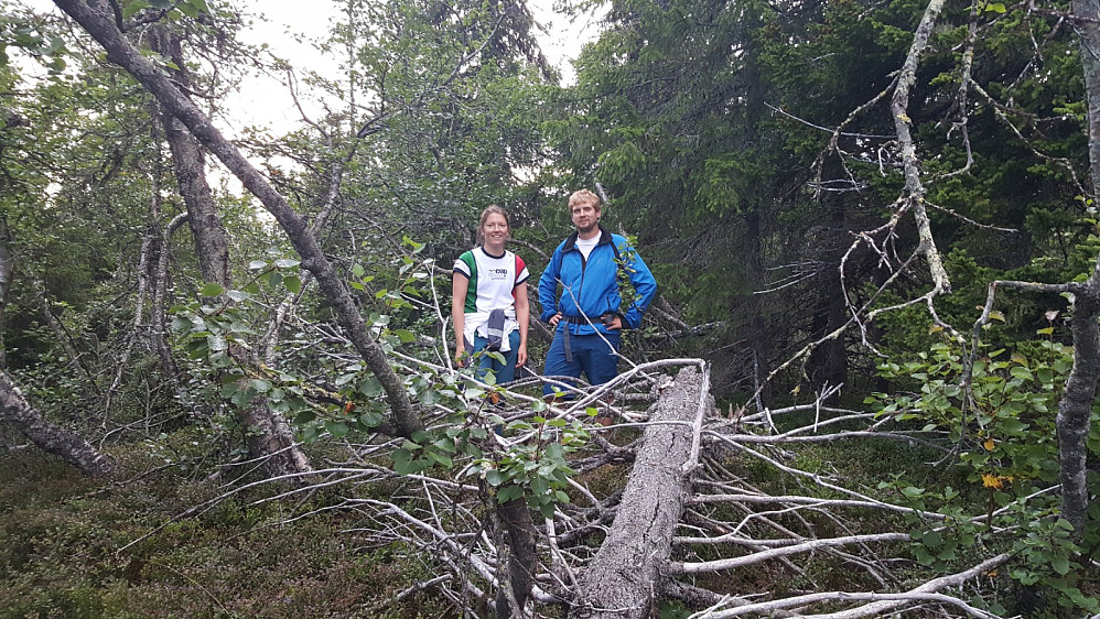 På Klininggrautsteinhaugen