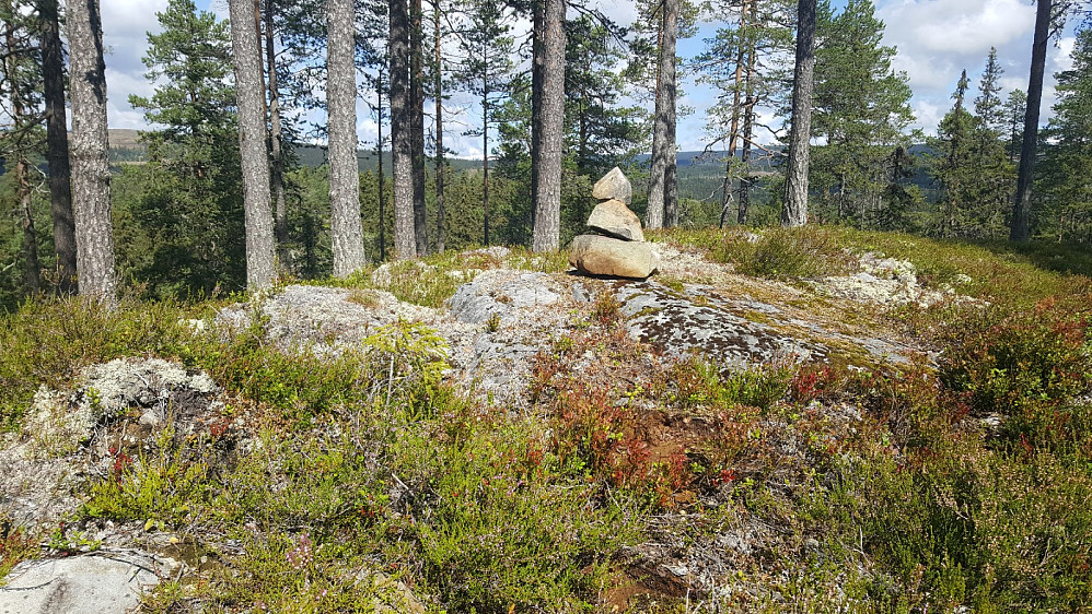 Mesnsaga punkt 553 hvor jeg bygde en minivarde