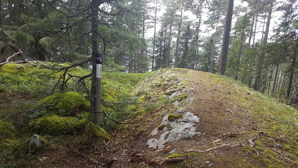 Rundhaugen med toppstolpe