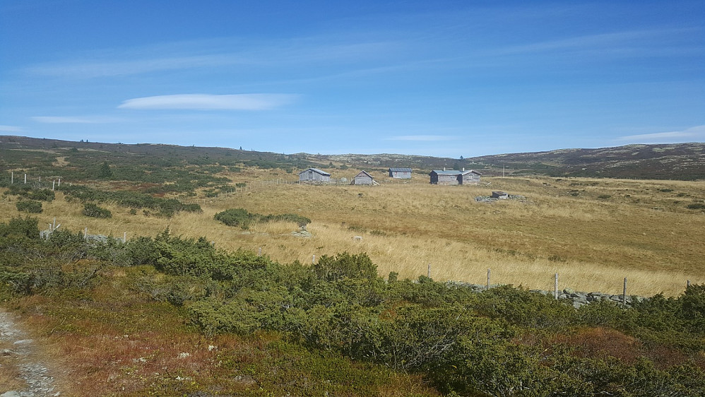 Tauteren seter
