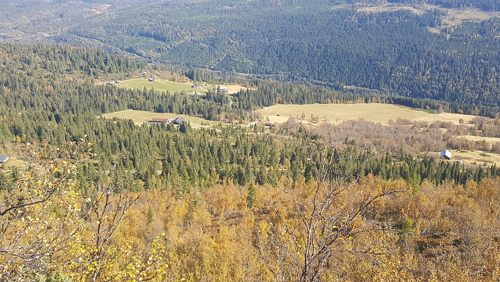 Utsikt fra Seterhaugan, ned mot Nesesetra