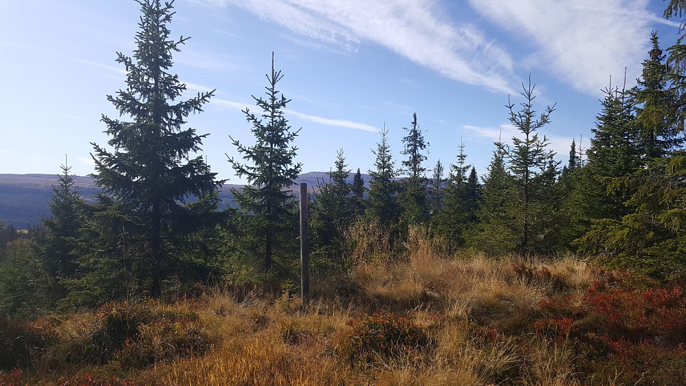 Åstjørnhaugen, på toppunktet sto en gjerdepål