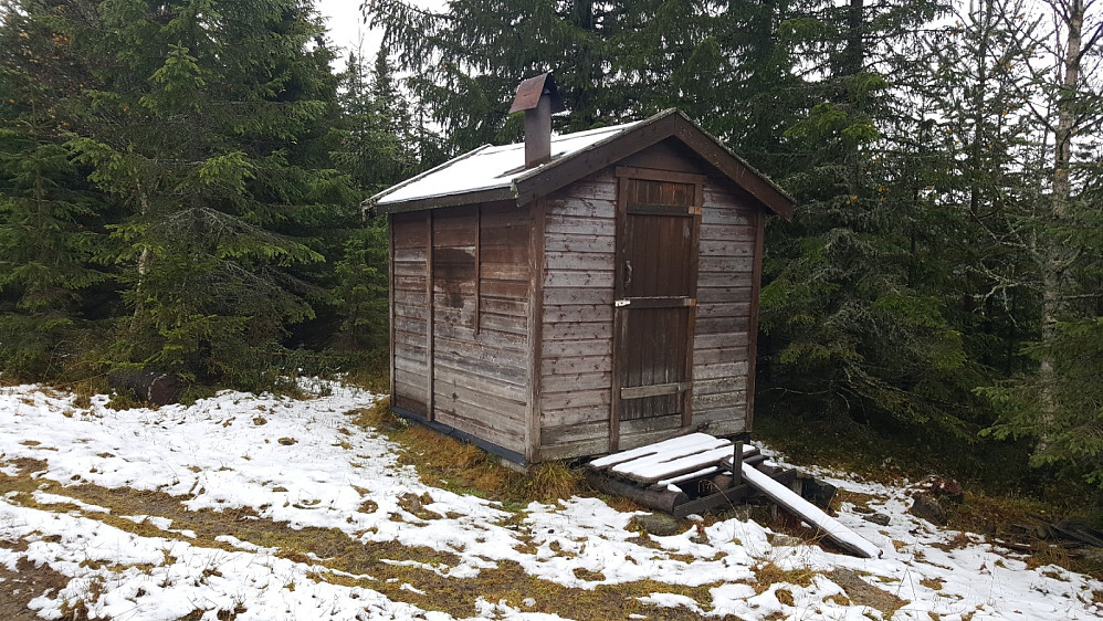 Skogskoia i skogen til Rønningen