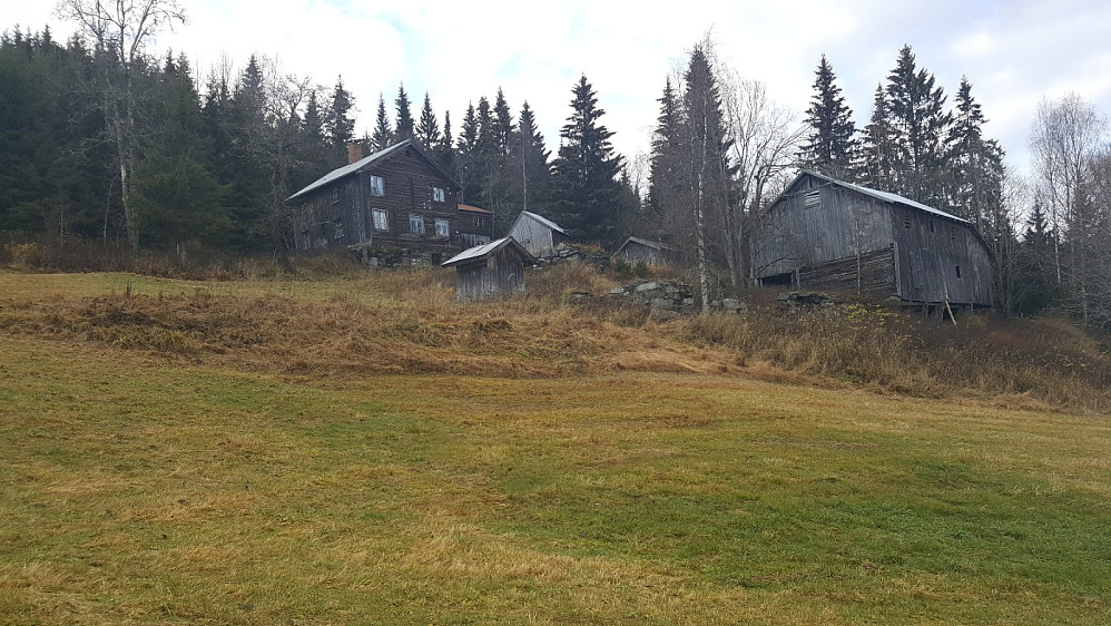 Hammershaug