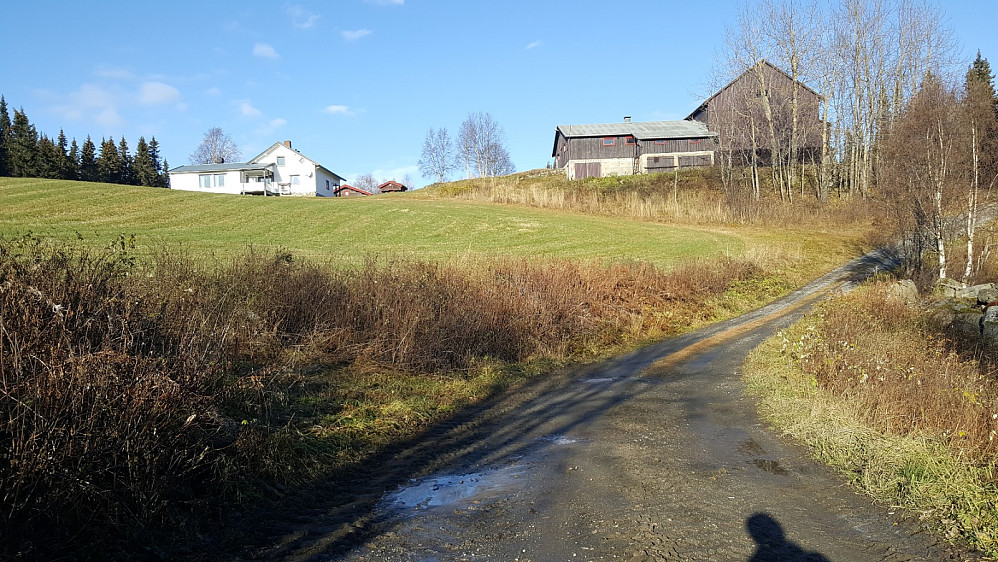 Gammelhushaugen
