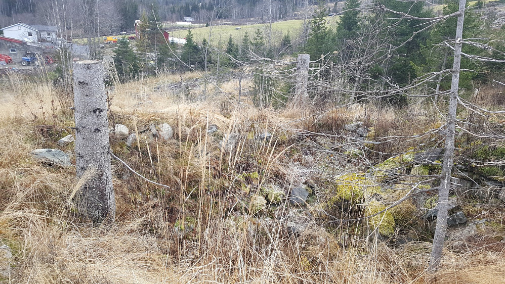 Hustuft på Kirkerudsveen, Kirkerudrønningen bak