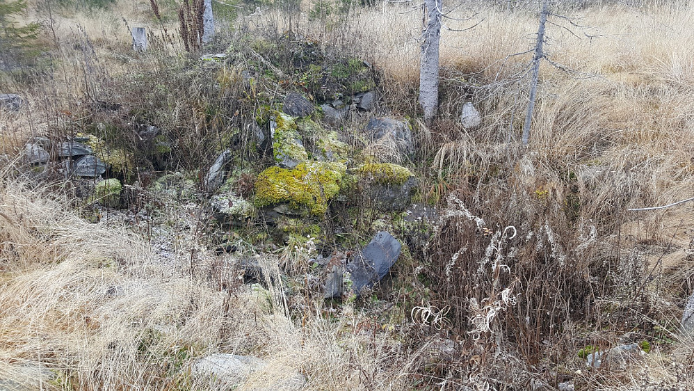 Kirkerudsvea]{
[[image:repelo_20191027_5db5a3a600f36.jpg|Kirkerudsvea