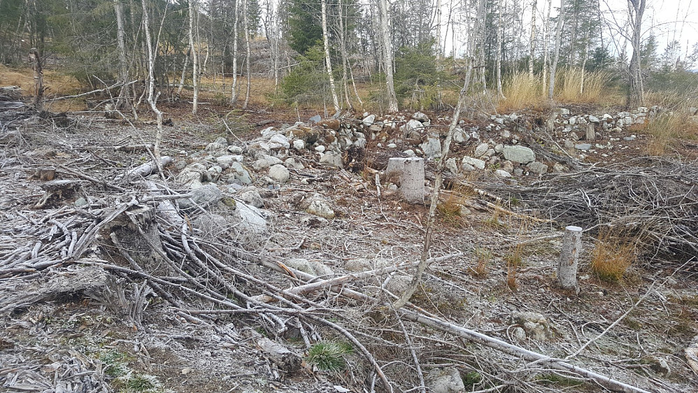 Rester etter den gamle husmannsplassen Dalbakken (Martebakken) på ei lita Slette rett ned for Husom, udødeliggjort av Hans Aanrud i fortellingen "Kaffe-Marte".