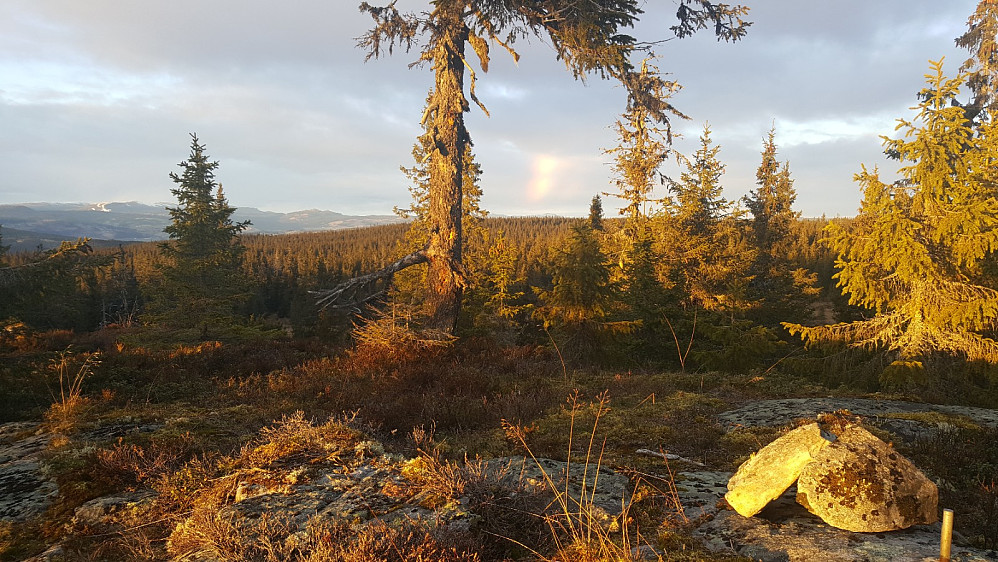 Rindåsen trigpunkt