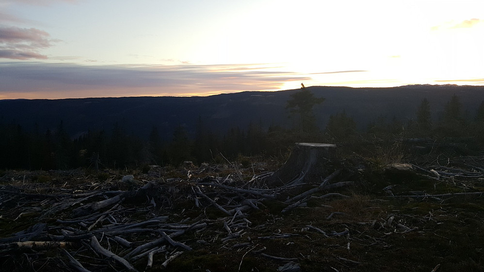 På Finsrudbekkhøgda