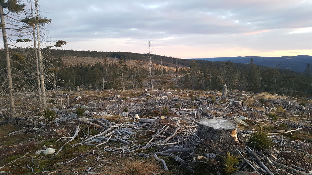 Finsrudbekkhøgda, mot Slette