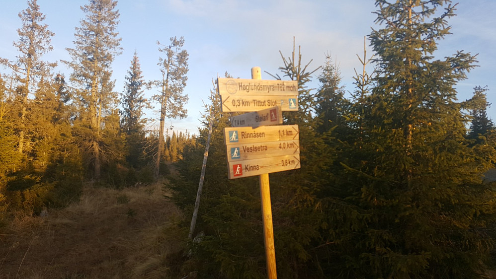 Kom inn på nye Rindåsvegen 50 meter ned for dette løypekrysset