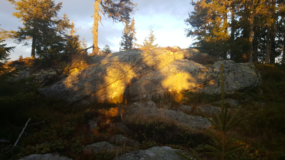 Rindåsen trigpunkt