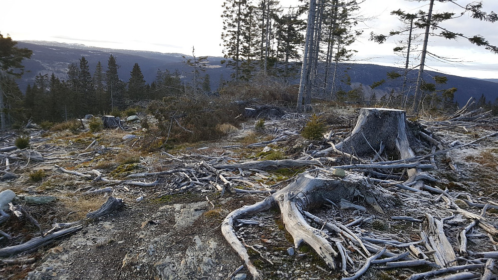 Finsrudbekkhøgda
