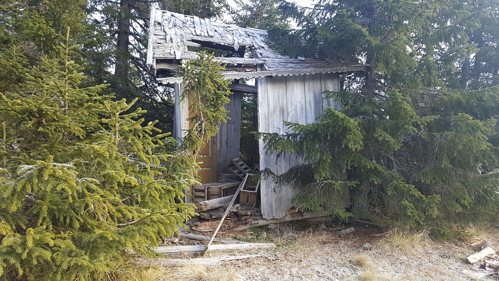 Skogsbu i skogen til Søre Lien