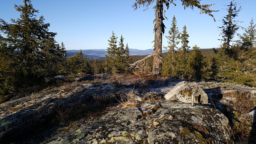 Rindåsen trigpunkt