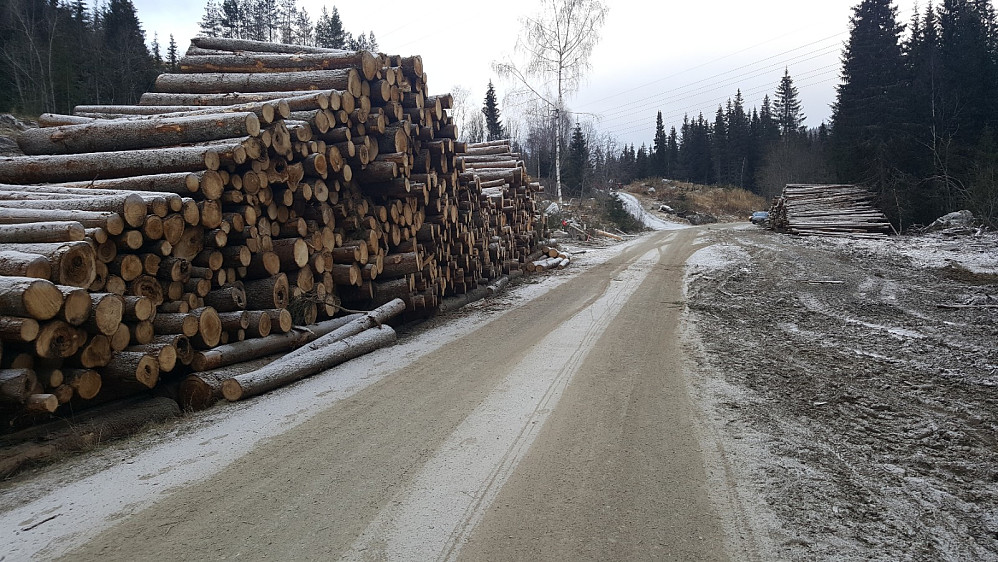 Tømmer i Balbergskaret