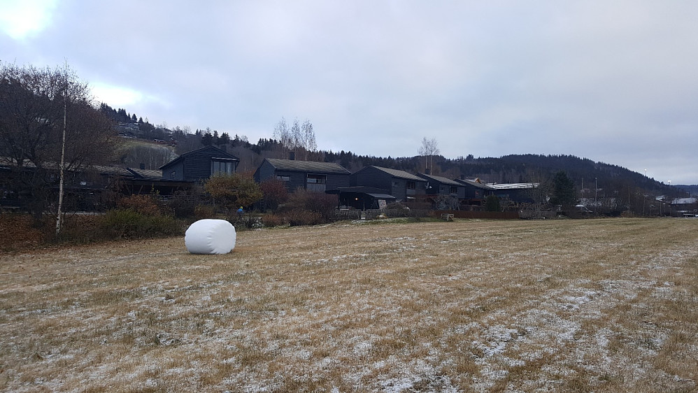 Fagstadjordet, med husene i Blestervegen bak