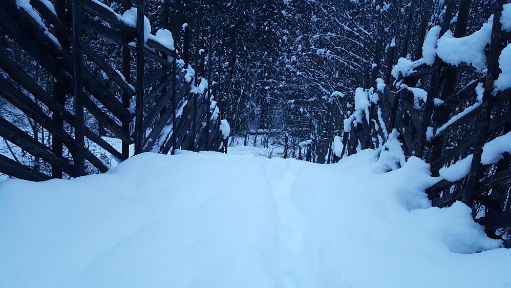 Iverslivolden skibru