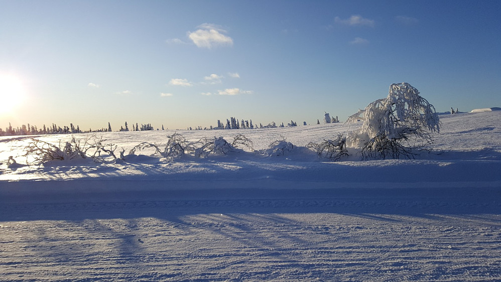 Værskei