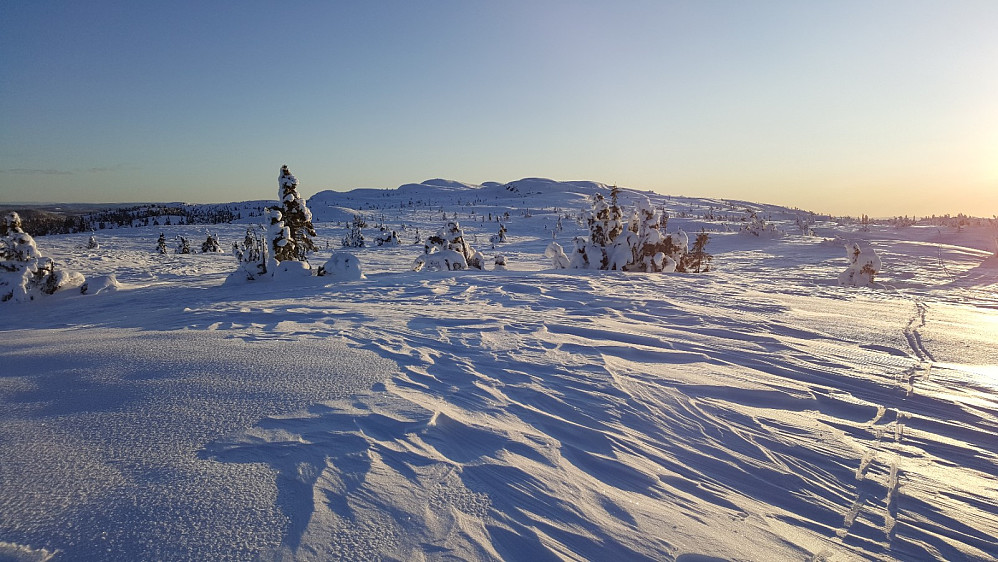 Condruphaugen, mot Gammelhans