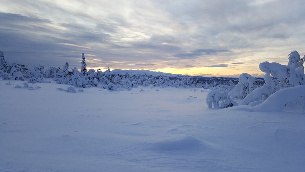 Synnfjellet fra Værskei