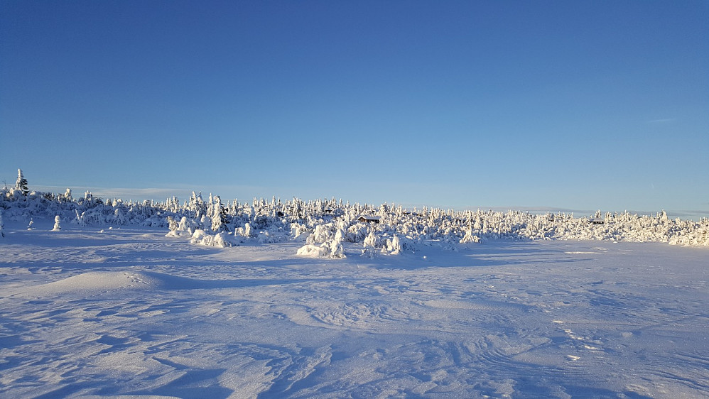 Mot Værskei