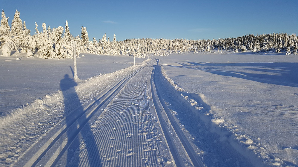 Kroktjønnet