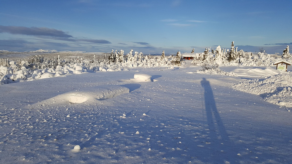 Værskei
