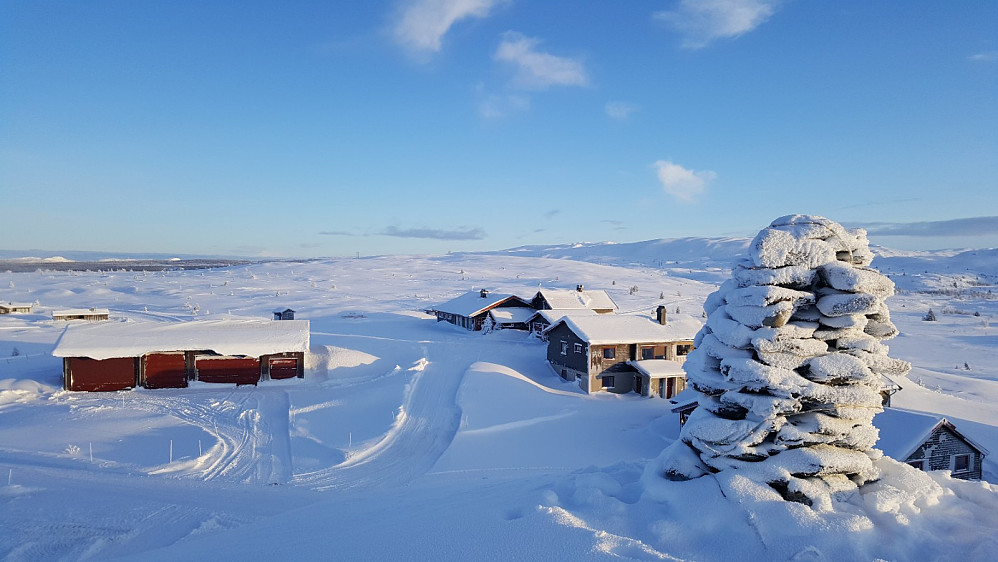 Fagerhøy