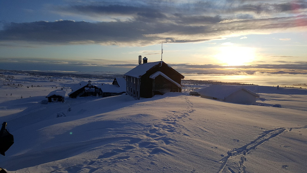 Fagerhøy