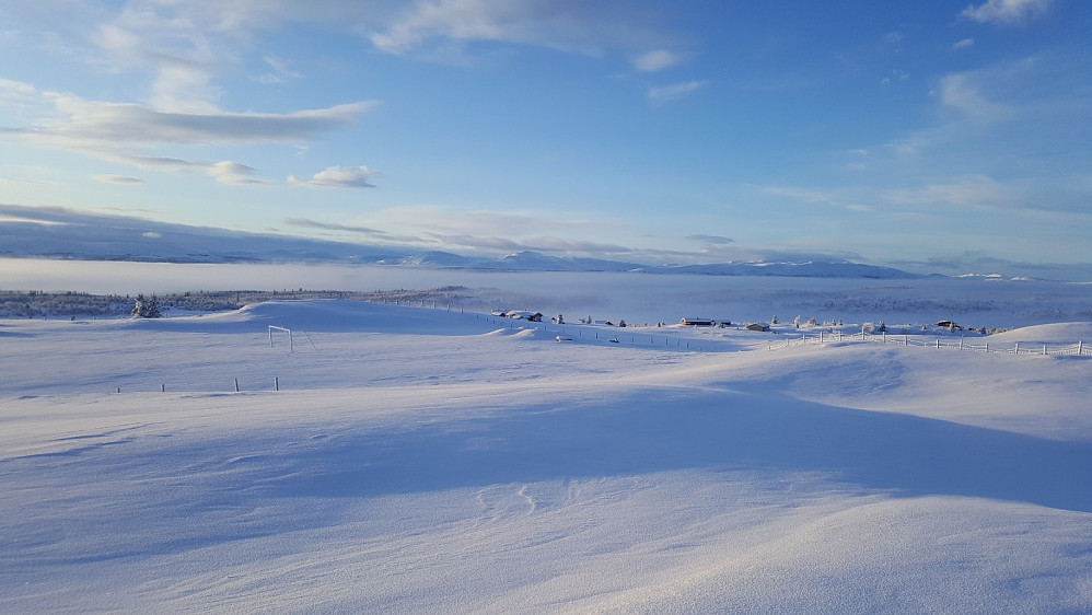 Fagerhøy