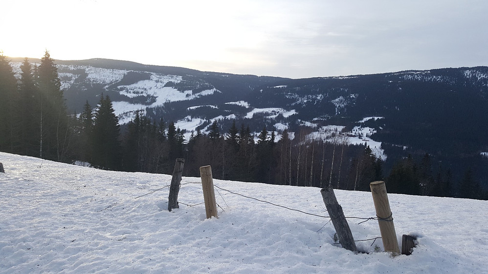 Baklia i Auggedal fra Granum
