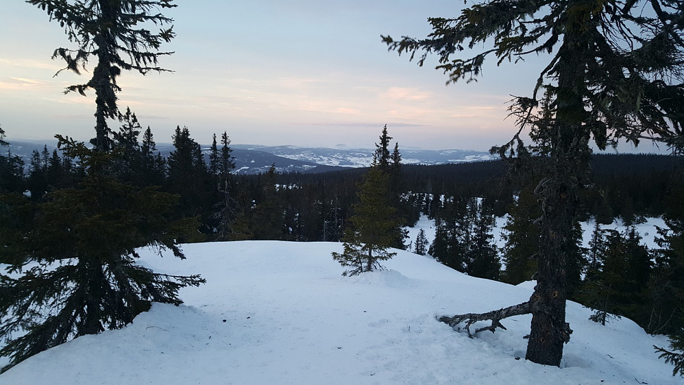 Rindåsen trigpunkt